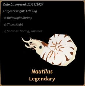 Nautilus Shell — item image