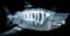 Phantom Megalodon — item image