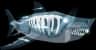 Sparkling Phantom Megalodon — item image