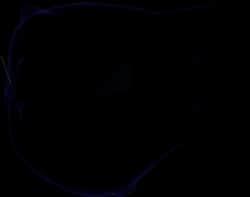 Poltergeist — item image