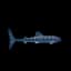 Whale Shark — item image