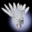 Albino Peacock — item image