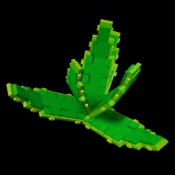Aloe Vera — item image