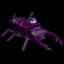 Amethyst Beetle — item image