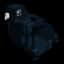 Black Bird — item image
