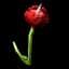 Hypno Bloom — item image
