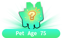 Random Pet — item image
