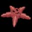 Starfish — item image
