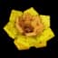 Sun Bloom — item image