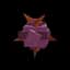 Venus Fly Trap — item image