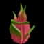 Dragon Fruit — item image