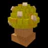 Maple Mushroom — item image