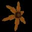 Maple Sunflower — item image