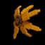 Sunflower — item image