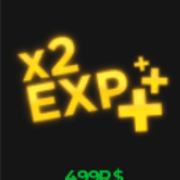 x2 EXP Boost — item image