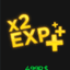 x2 EXP Boost — item image