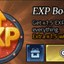 EXP Boost — item image