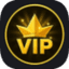 VIP Pass — item image
