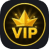 VIP Pass — item image