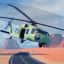 Black Hawk — item image