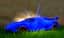 Hyper Blue Level 5 — item image