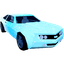 Snowstorm — item image