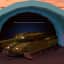 Tank — item image