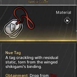 Nue Tag — item image