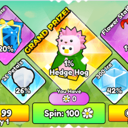 Spin Flower Box — item image