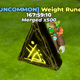 Weight Rune — item image