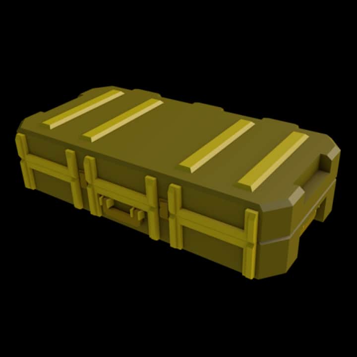 Skin Case 2 — item image