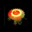 Autumn Halo 2019 — item image