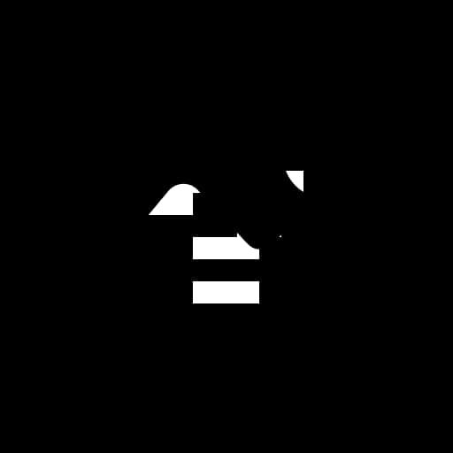 NewFormatting — item image