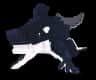 Orcaledon — item image