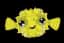 Puffaball — item image