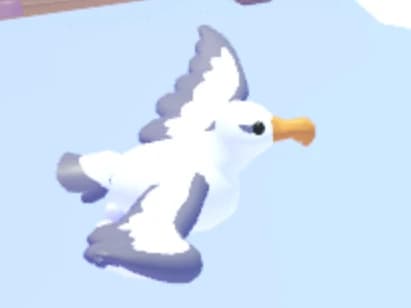 Albatross — item image