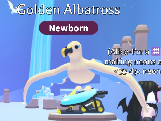 Golden Albatross — item image