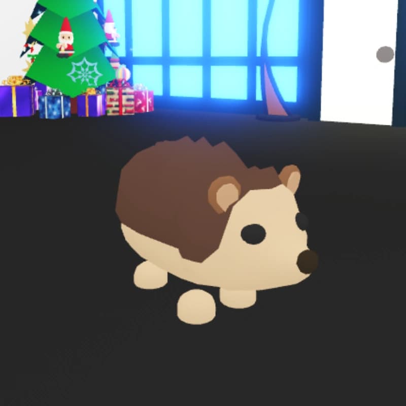 Hedgehog — item image