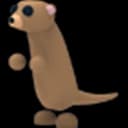 Meerkat — item image