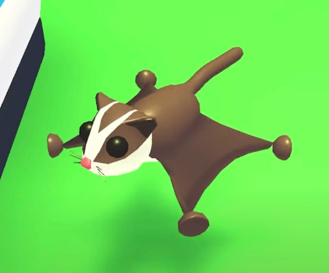 Sugar Glider — item image
