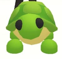 Turtle — item image