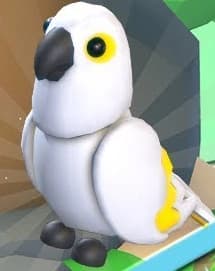 White Amazon — item image