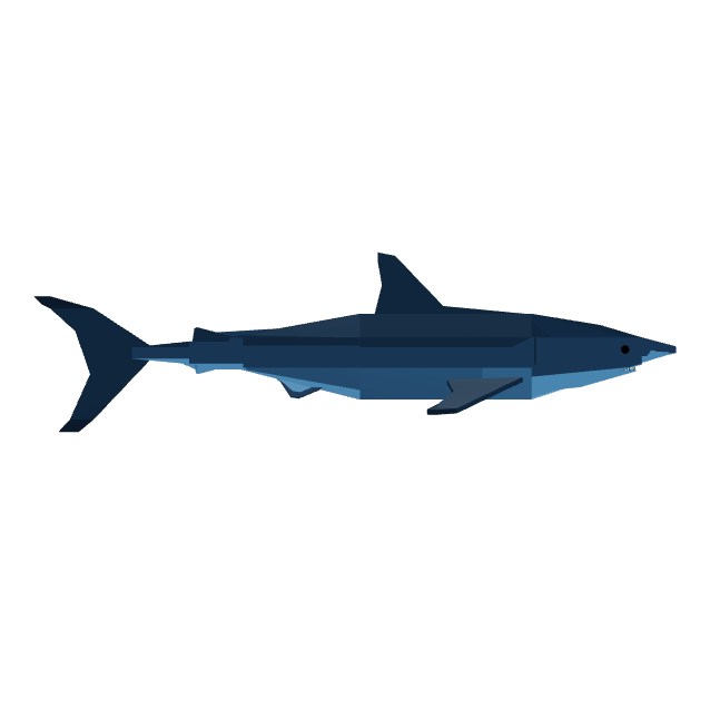Great White Shark — item image