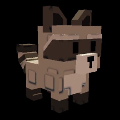 Raccoon — item image