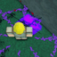 Reanimated Seal — item image