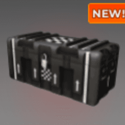 Finishline Case — item image
