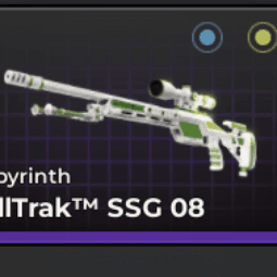 SSG 08 | Labyrinth — item image