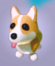 Corgi — item image