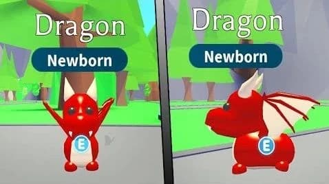 Dragon — item image
