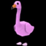 Flamingo — item image